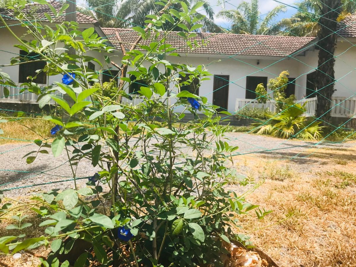 Palm Garden House Hotel Quang Tri Екстериор снимка