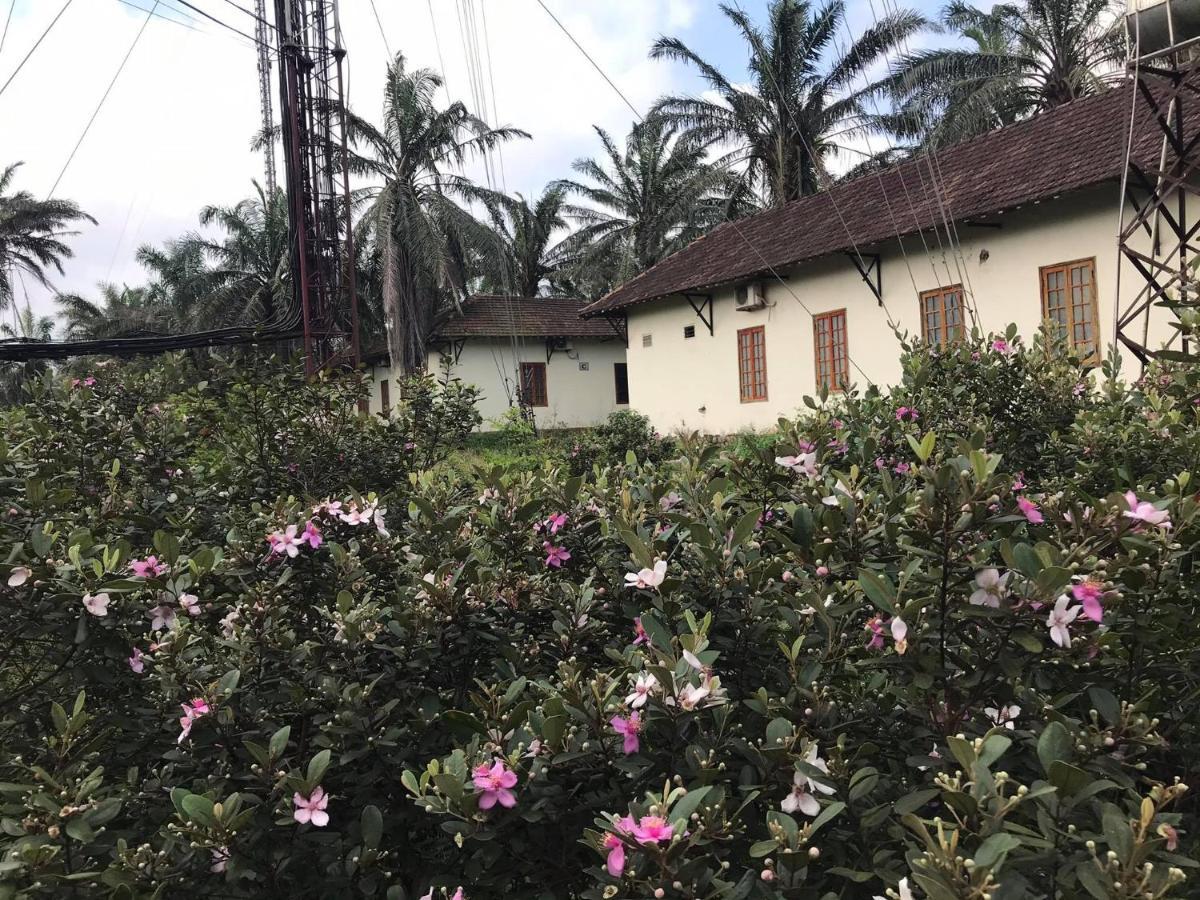 Palm Garden House Hotel Quang Tri Екстериор снимка
