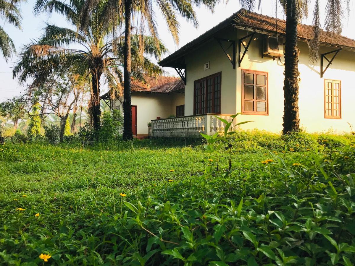 Palm Garden House Hotel Quang Tri Екстериор снимка